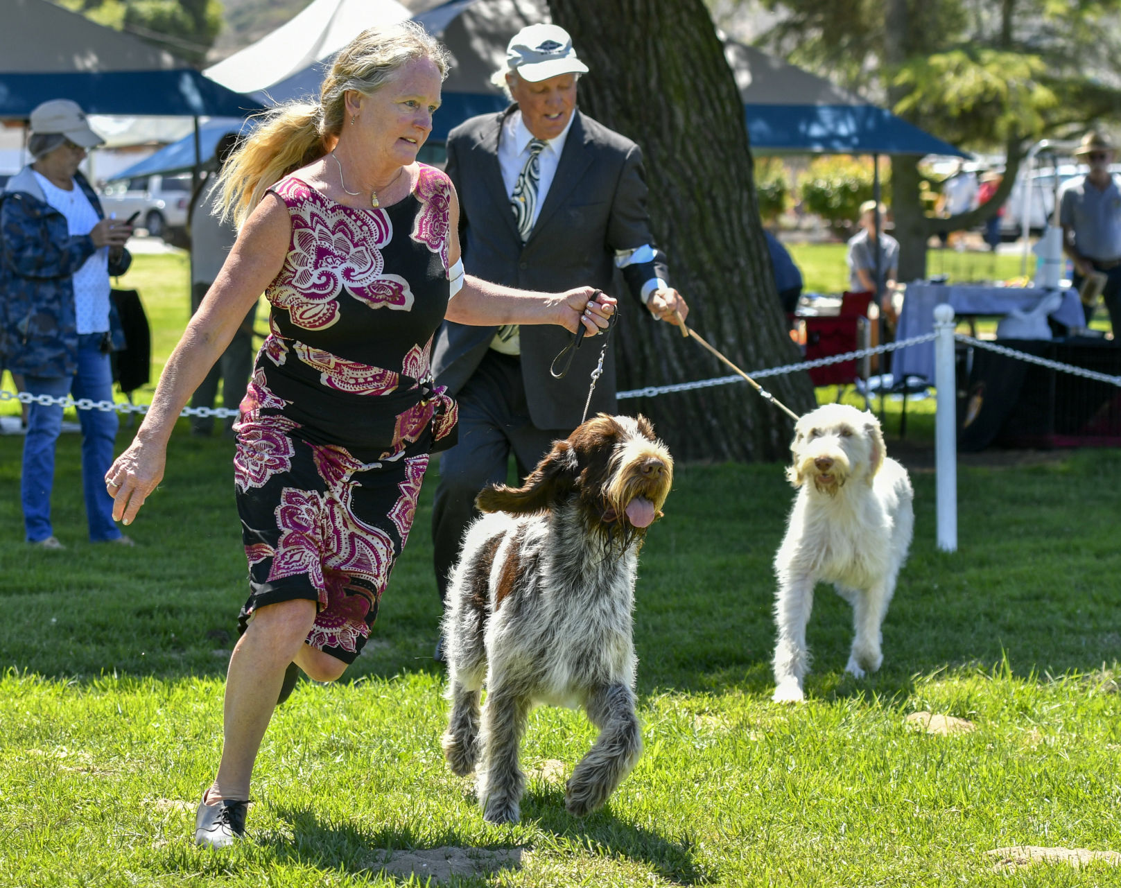 073121 Dog show 09.JPG